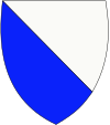 Austin WSD (Summer) Badge